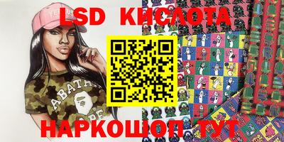 гидра Новодвинск