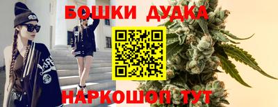 гидра Новодвинск