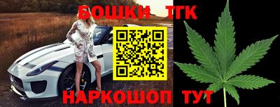 гидра Новодвинск
