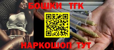 гидра Новодвинск