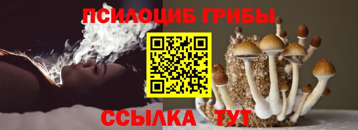 Псилоцибиновые грибы мицелий  Вход с VPN  Электросталь 